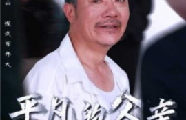 短剧《平凡的父亲（54集全）汪子夕》夸克网盘资源免费观看