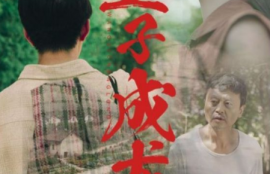 短剧《望子成龙（74集全）王义海&---刘蓝鸽》夸克网盘资源免费观看