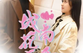 短剧《城南花正开（92集全）》夸克网盘资源免费观看