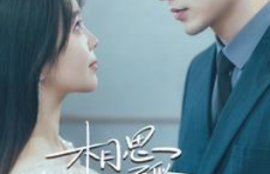 短剧《相思不似相逢(97集全）》夸克网盘资源免费观看