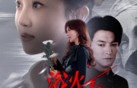 短剧《浴火归来（1-61集）》夸克网盘资源免费观看