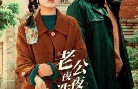 短剧《重生后老公夜夜洗冷水澡（怒捡八零小俏夫）1-40集》夸克网盘资源免费观看