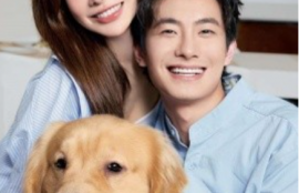 短剧《我的野蛮男友（70集全）》夸克网盘资源免费观看