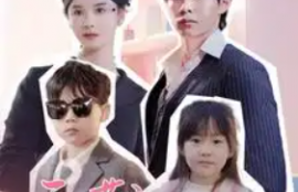 短剧《天才萌宝腹黑爹地(87集全）》夸克网盘资源免费观看