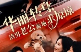 短剧《华丽转身，渣男老公跪地求原谅（30集全）》完整版高清免费观看