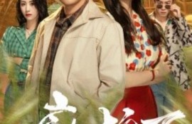 短剧《廊桥下捡了个千亿富豪（1-80集）》夸克网盘资源免费观看