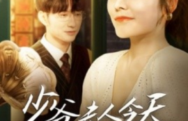 短剧《少爷夫人今天也不复婚（100集全）李胜楠》夸克网盘资源免费观看