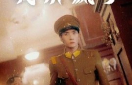 短剧《进入帅府后我杀疯了（1-83集）》夸克网盘资源免费观看