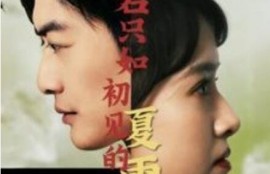 短剧《若只如初见的夏雨荷（1-90集）》夸克网盘资源免费观看