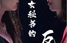 短剧《女秘书的反攻（76集全）》完整版高清免费观看