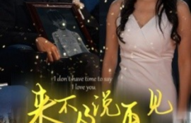 短剧《来不及说再见（30集全）刘博洋&---张嘉妤》