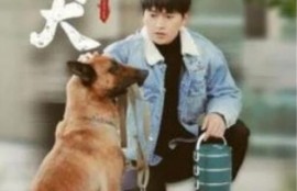 短剧《忠犬（1-34集）》夸克网盘资源免费观看