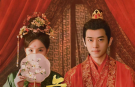 网剧短剧《虚颜（18集全）》夸克网盘资源免费观看