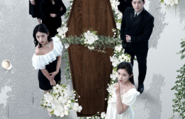 短剧《双生迷雾（80集全）》夸克网盘资源免费观看