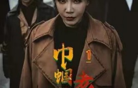 短剧《巾帼老妈》1-87集夸克网盘资源免费观看