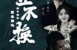 短剧《金不换（32集全）》夸克网盘资源免费观看