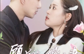 热门短剧《顾总的二婚娇妻》1-79集夸克网盘资源免费观看