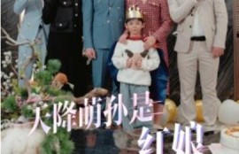 短剧《天降萌孙是红娘（1-60集）》夸克网盘资源免费观看