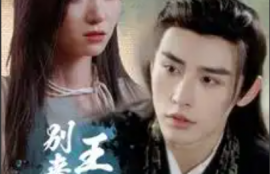 短剧《王爷别来无恙（88集全）》夸克网盘资源免费观看