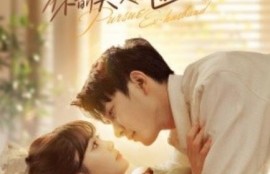 短剧《陆小姐！你前夫又来追你啦（1-67集）》夸克网盘资源免费观看