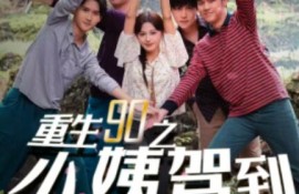 短剧《重生90之小姨驾到（1-80集）》夸克网盘资源免费观看