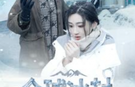 短剧《全球冰封我打造了安全屋（81集全）》夸克网盘资源免费观看