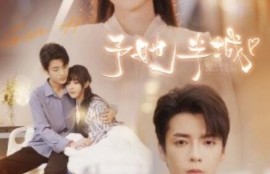 短剧《予她半城（100集全）》高清完整版高清免费观看