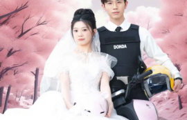 短剧《新版：披荆斩棘的婚姻（90集全）》夸克网盘资源免费观看