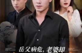 短剧《岳父病危，老婆却陪着她初恋（1-31集）》夸克网盘资源免费观看