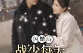 短剧《闪婚后战少每天逼我生崽（91集全）》夸克网盘资源免费观看